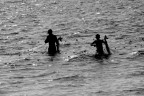 Pescatori in controluce Pescatori in controluce
