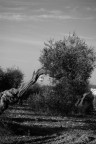 contro la gravità contro la gravità