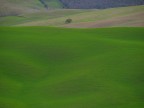 paesaggio toscano
