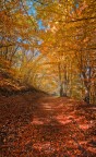 Autunno Autunno