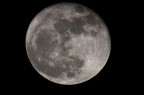 Luna Luna
