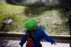 ...carnevale... ...carnevale...