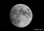 Moon Moon