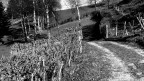 EspaceJura EspaceJura