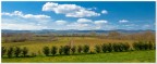 primavera