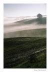 Nebbia Nebbia