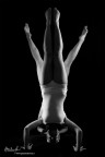 Acrobatica Acrobatica