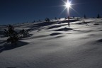 neve neve