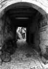 L'arte a Rovigno d'Istria L'arte a Rovigno d'Istria