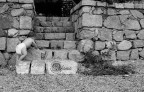 Ginocchia d'acciaio! Ginocchia d'acciaio!