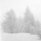 Rolleiflex Xenotar 2.8
Neopan 400@200 in Rodinal 1+50 x 8'
Scansione da negativo