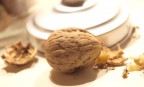 still nut still nut