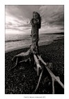 Il volto del mare d'inverno. Il volto del mare d'inverno.