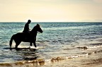 Horse Ride Horse Ride