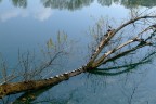 Siesta al lago Siesta al lago