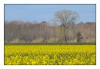 IMG_1602 IMG_1602