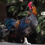 non � il mo genere ma mi piace come scatto.