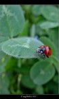 Sull'orlo del precipizio Sull'orlo del precipizio