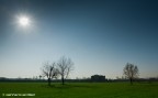 spring sun spring sun