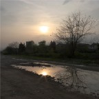 Il sole in una pozzanghera Il sole in una pozzanghera
