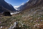 Fine dell'inverno alpino Fine dell'inverno alpino