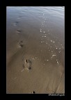 Steps Steps