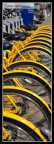 Biciclette Biciclette