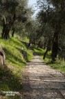 FollowTheWay FollowTheWay