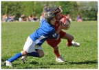 minirugby minirugby