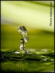 L'acqua nelle sue forme! L'acqua nelle sue forme!
