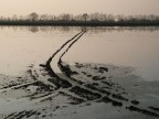 come un disegno a china