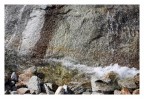 Acqua Acqua