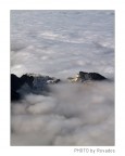 Isole Isole