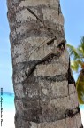 Cuts on Palm Cuts on Palm