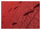 fiume rosso