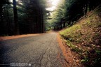 the road the road