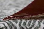 Primo scatto con un macro Primo scatto con un macro