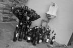 Collezione di vini Collezione di vini