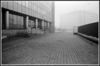 Nebbia Nebbia