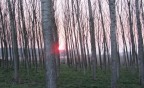 Tramonto Tramonto