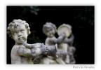 Putti Putti