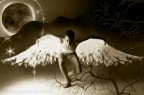 The white swan - Il cigno bianco dispiega le sue ali The white swan - Il cigno bianco dispiega le sue ali