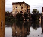 lago lago