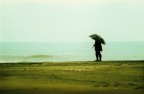 searching for soul searching for soul