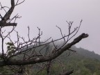 Musine', la montagna mistica Musine', la montagna mistica