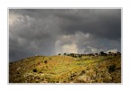 Campagna siciliana Campagna siciliana