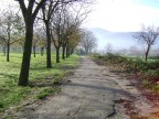 Campagna beneventana Campagna beneventana