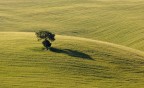 Solitario Solitario