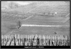 Colline Colline