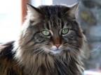 La mia seconda moglie La mia seconda moglie
